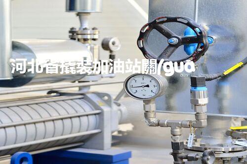 河北省撬裝加油站關(guān)鍵技術(shù)突破！化工廠拆除工程的新方法探索？